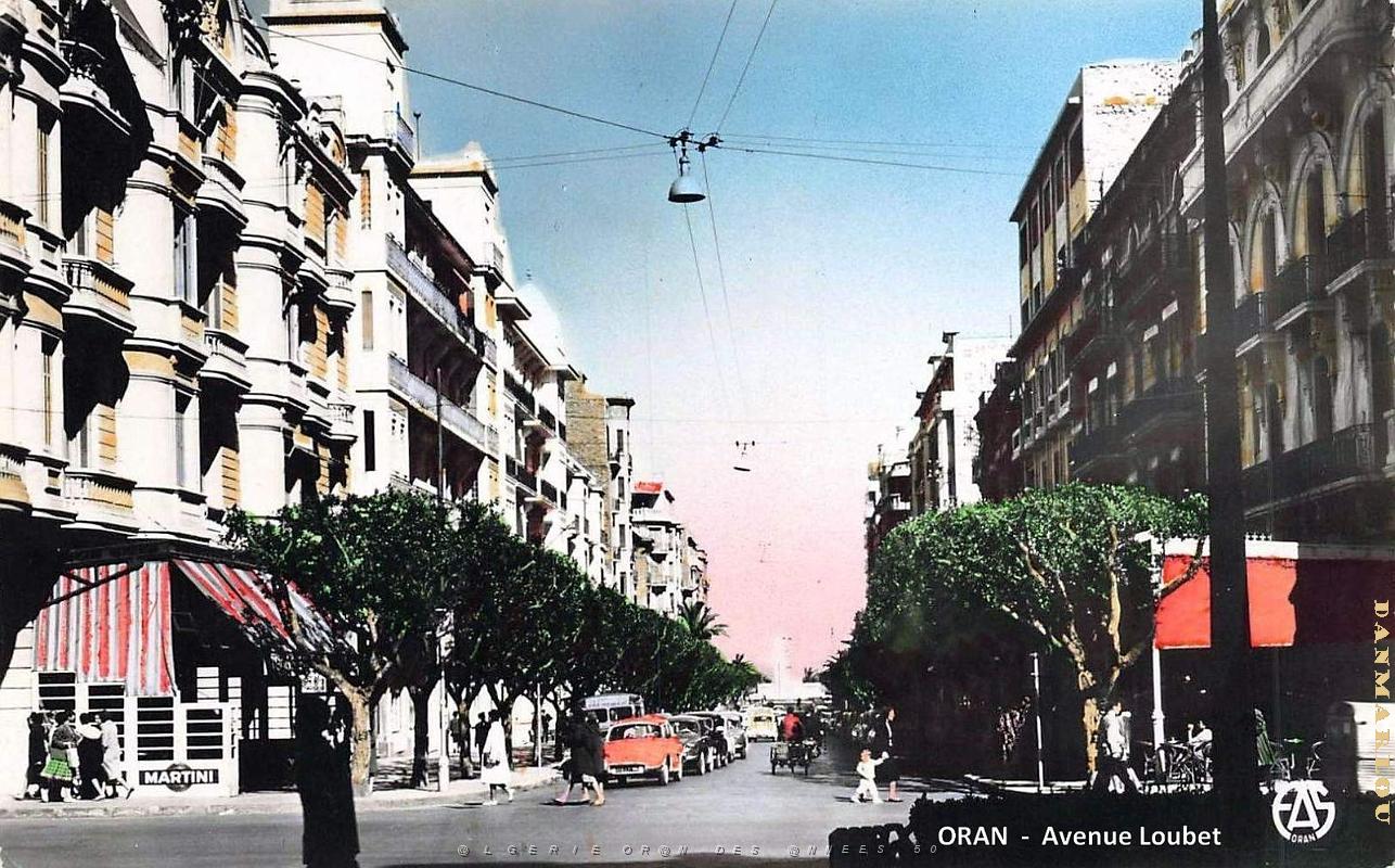 Oran - Avenue Loubet_4.jpg
